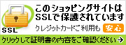 SSLで保護されています
