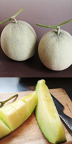 �������u������ �i���j ���3�`4L�T�C�Y 2�� *�c���t��