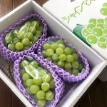 ���c����̃V���C���}�X�J�b�g�Q�[�l���� �R�`���Y