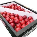 21 �������� �g�G�� �΂� 1kg �����p �i�R�`�Y�j