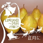 ����ʂUL�`�VL�R�`�Y���m�����I �V���o�[�x�� (�TK���������t�l�j