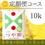 new����ցi�炭�g�N�u���j�R�`���Y ���I��P10kg