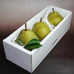 ��ʍ������E�t�����X�R�� �i�������j �TL�O��