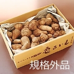 �R�`���̗���_�ۉ�27�㈫�˂��� �̋K�i�O�i�R����
