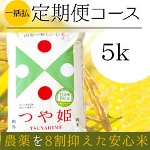 new����ցi�炭�g�N�u���j�R�`���Y ���I��P5kg