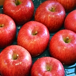 �T���y�G�z �~�̃T���ӂ���񂲎R�`�Y�i�G�i �j�P�S�ʁ`18��