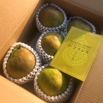 ���m�����E�t�����X�y�������z�R�`���Y��ʂUL �T�ʁi�QK�����t�l�߁j